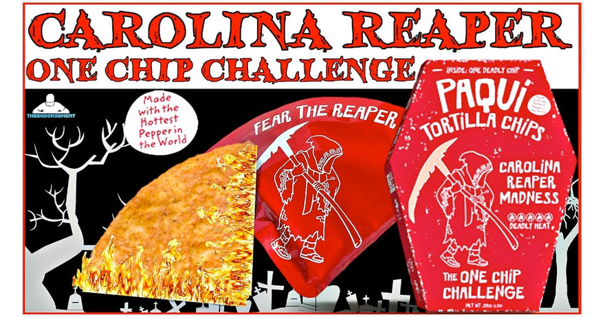 I Ate the World's Hottest One Chip Eating Challenge VS the NEW ONE CHIP  CHALLENGE 2023 